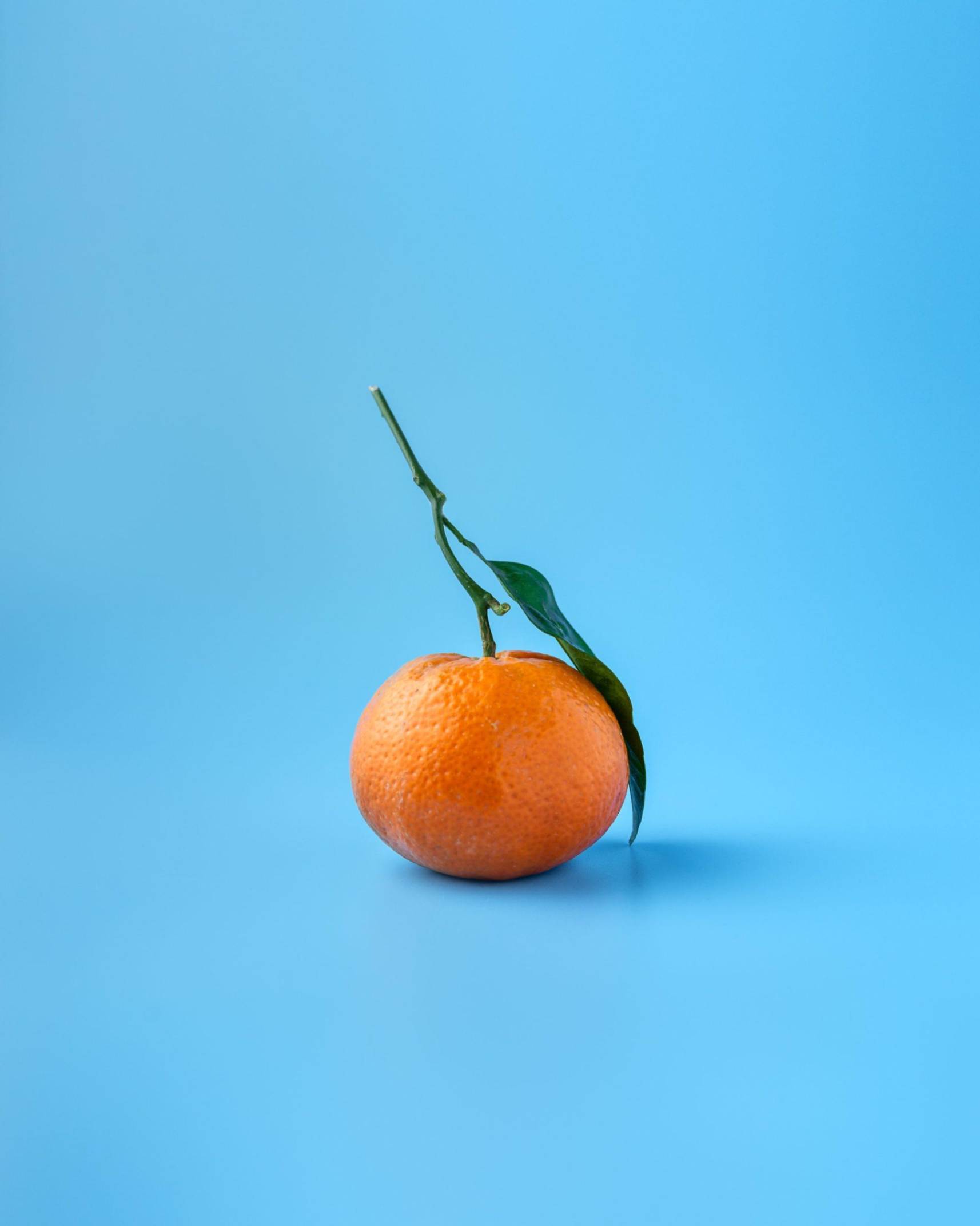 An orange against a blue backdrop