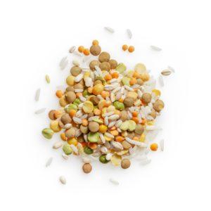 plant-based-proteins