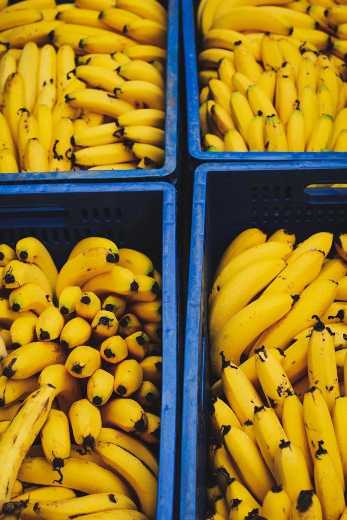 Maintaining Healthy Potassium Levels